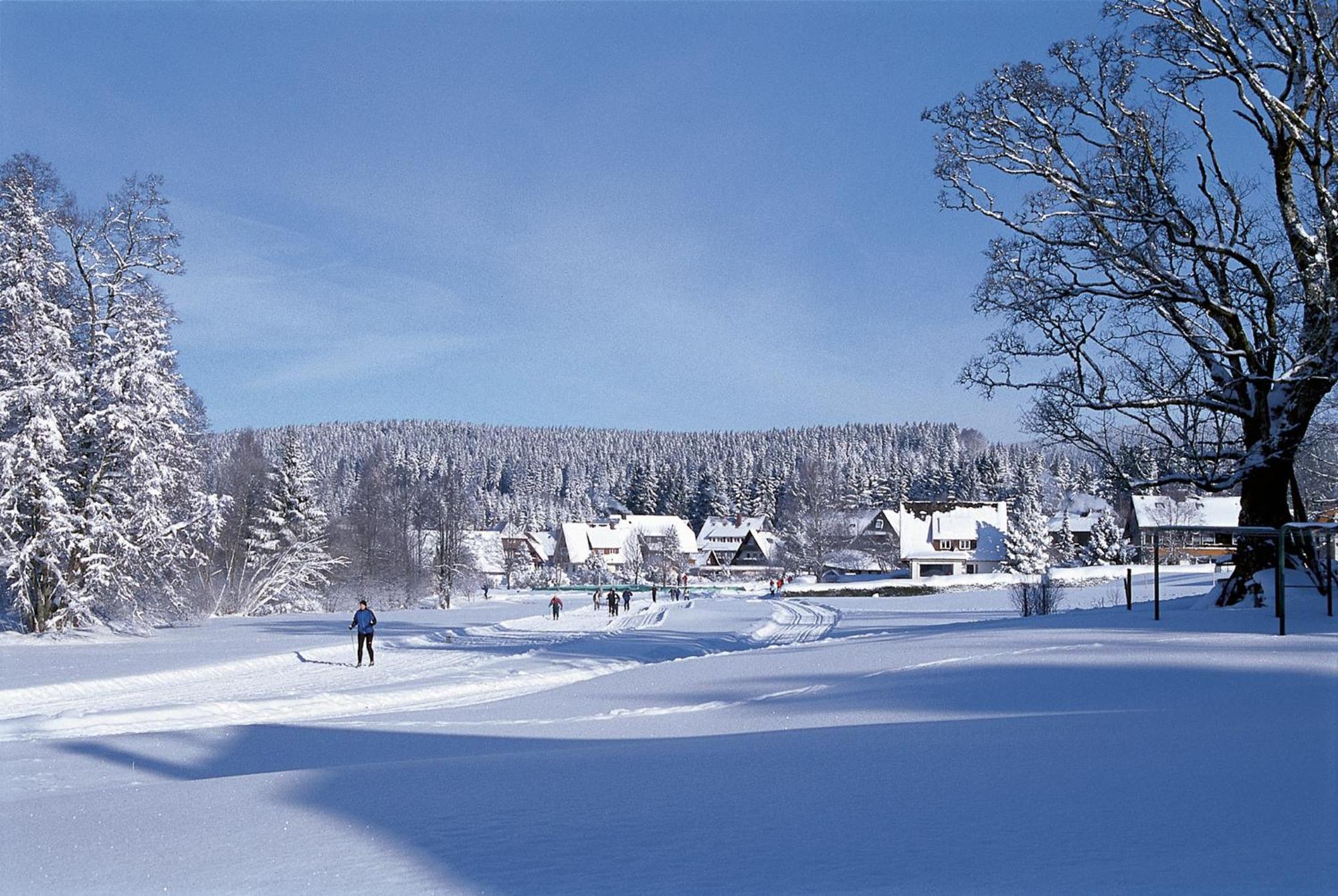 Drei Tannen - Wohnung 09 - Apartmenthaus, Titisee, Feldberg Buitenkant foto
