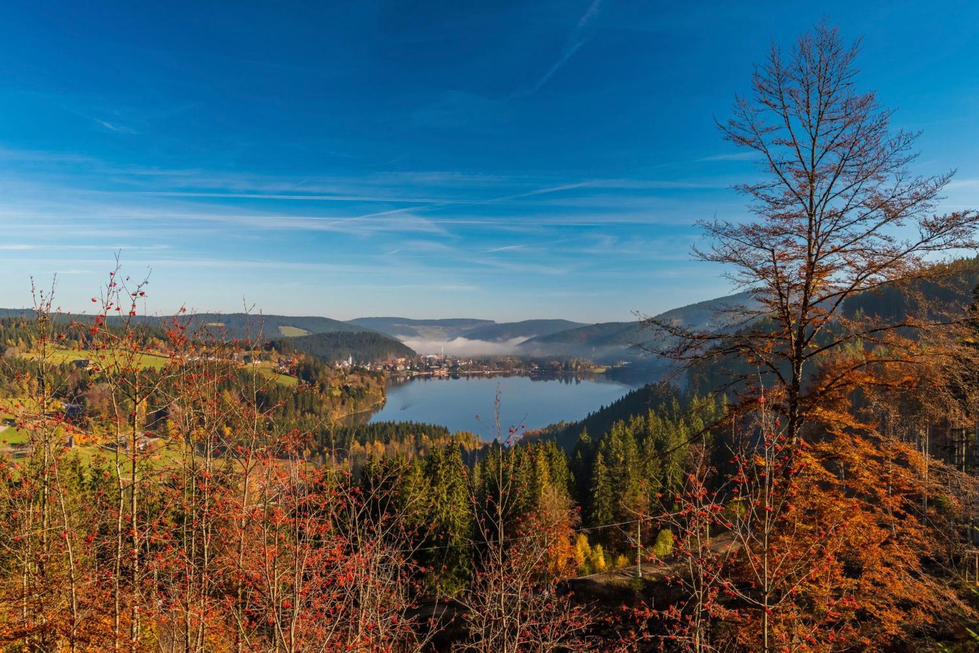 Drei Tannen - Wohnung 09 - Apartmenthaus, Titisee, Feldberg Buitenkant foto