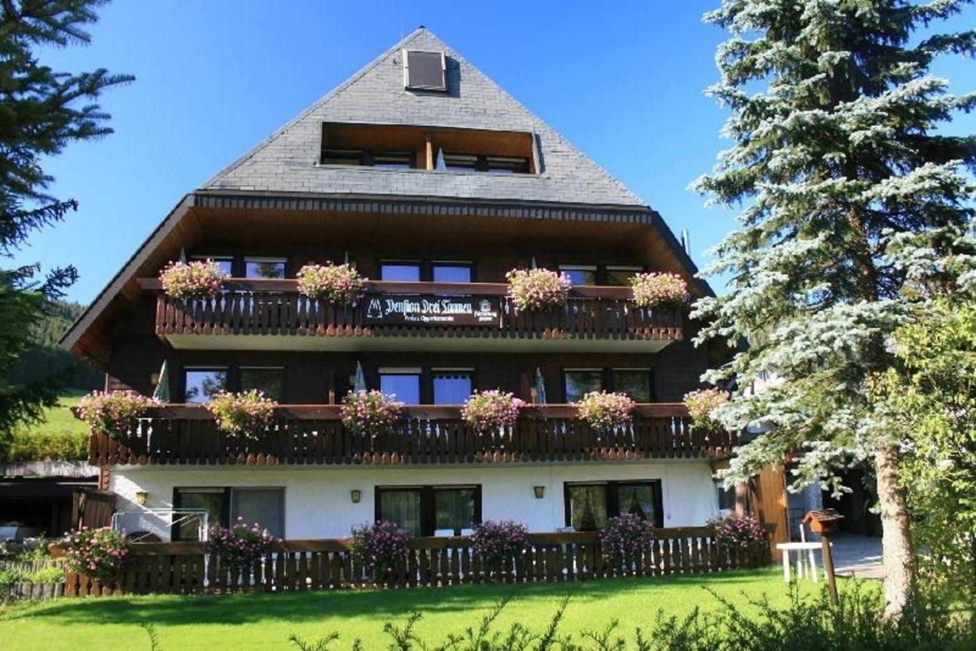 Drei Tannen - Wohnung 09 - Apartmenthaus, Titisee, Feldberg Buitenkant foto